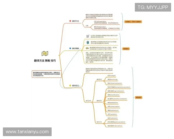 深入解析大小单双玩法策略趋势与实战技巧全面指南思维模型与风险控制方法